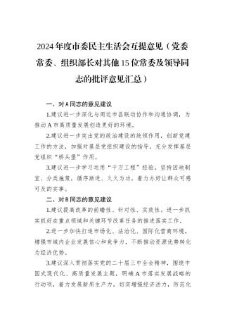 2024年度市委民主生活会互提意见（党委常委、组织部长对其他15位常委及领导同志的批评意见汇总）