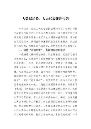 大数据局长、人大代表述职报告