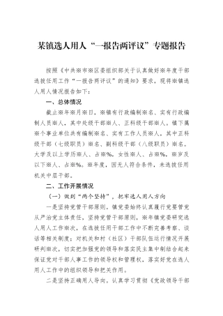 某镇选人用人“一报告两评议”专题报告