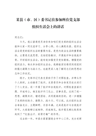 某县（市、区）委书记在参加所在党支部组织生活会上的讲话