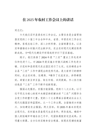 在2025年农村工作会议上的讲话