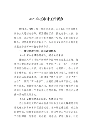 2025年区审计工作要点