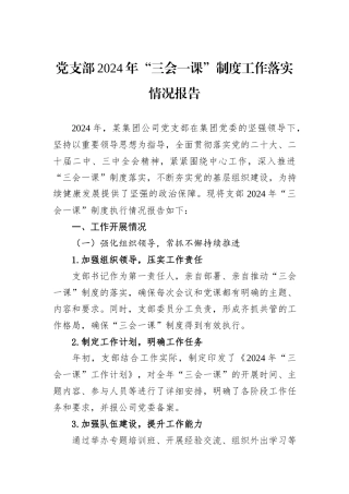 党支部2024年“三会一课”制度工作落实情况报告