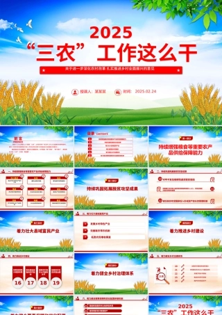 2025年三农工作这么干PPT中央一号文件要点（20250227）