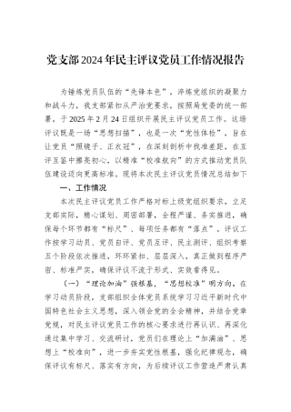 党支部2024年民主评议党员工作情况报告