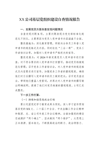 XX公司基层党组织建设自查情况报告