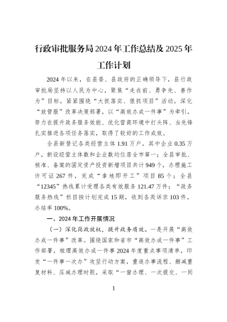 行政审批服务局2024年工作总结及2025年工作计划