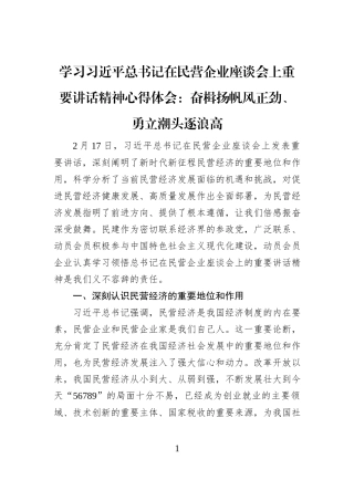 学习习近平总书记在民营企业座谈会上重要讲话精神心得体会：奋楫扬帆风正劲、勇立潮头逐浪高