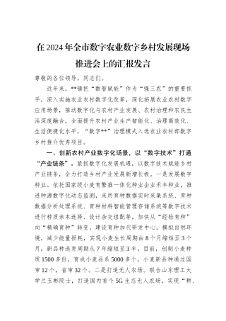 在2024年全市数字农业数字乡村发展现场推进会上的汇报发言