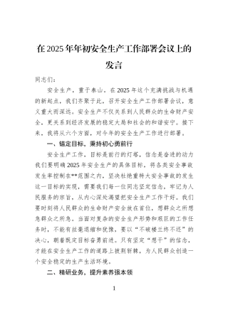 在2025年年初安全生产工作部署会议上的发言