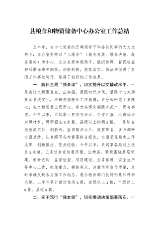 县粮食和物资储备中心办公室工作总结