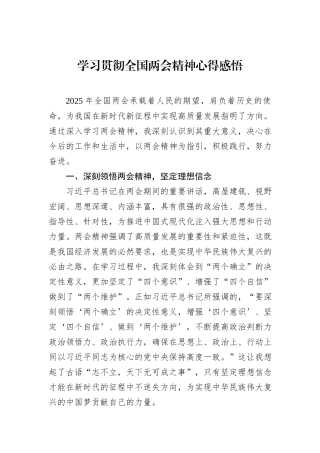 学习贯彻全国两会精神心得感悟