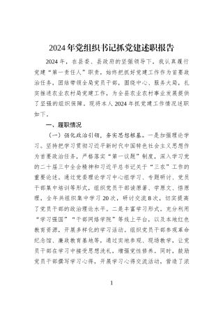 2024年党组织书记抓党建述职报告