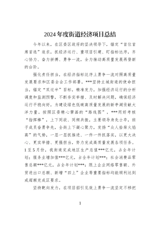 2024年度街道经济项目总结