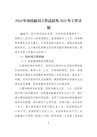 2024年市民政局工作总结及2025年工作计划