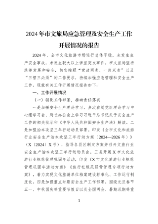 2024年市文旅局应急管理及安全生产工作开展情况的报告
