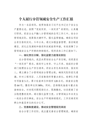 个人履行分管领域安全生产工作汇报