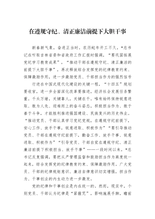 在遵规守纪、清正廉洁前提下大胆干事