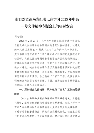 市自然资源局党组书记在学习2025年中央一号文件精神专题会上的研讨发言