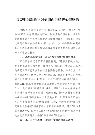 县委组织部长学习全国两会精神心得感悟