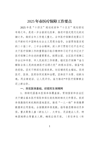 2025年市医疗保障工作要点