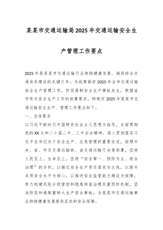 某某市交通运输局2025年交通运输安全生产管理工作要点