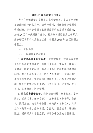 2025年XX区计量工作要点