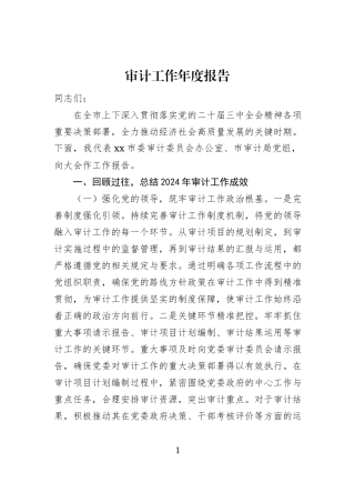 审计工作年度报告
