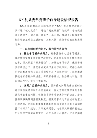 XX县县委常委班子自身建设情况报告