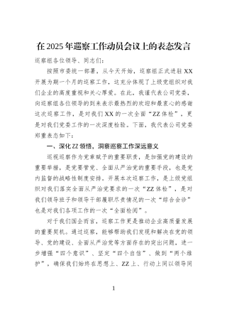 在2025年巡察工作动员会议上的表态发言