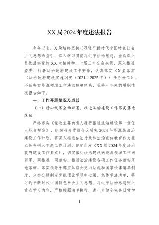 XX局2024年度述法报告