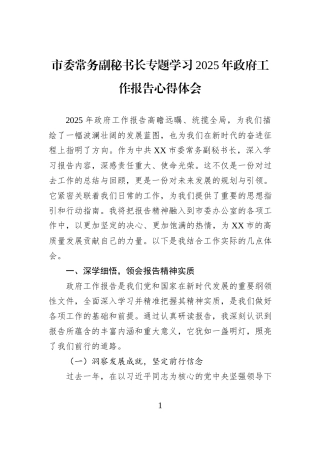 市委常务副秘书长专题学习2025年政府工作报告心得体会