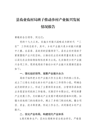 县农业农村局班子推动乡村产业振兴发展情况报告