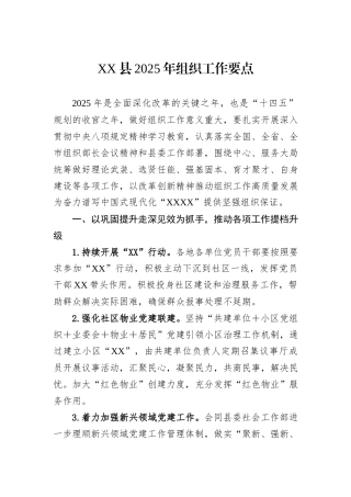 XX县2025年组织工作要点