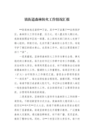 镇街道森林防火工作情况汇报