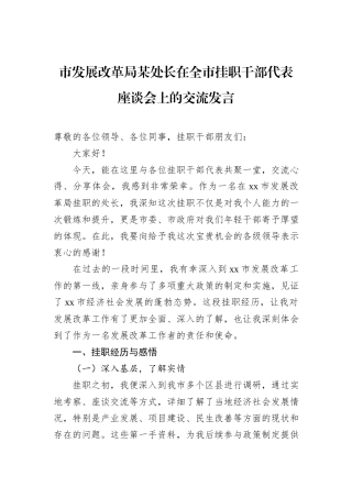 市发展改革局某处长在全市挂职干部代表座谈会上的交流发言