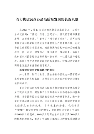 着力构建民营经济高质量发展的长效机制