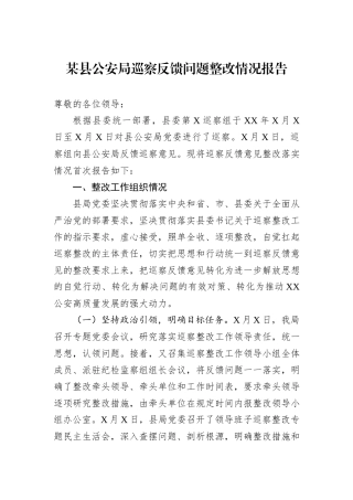 某县公安局巡察反馈问题整改情况报告