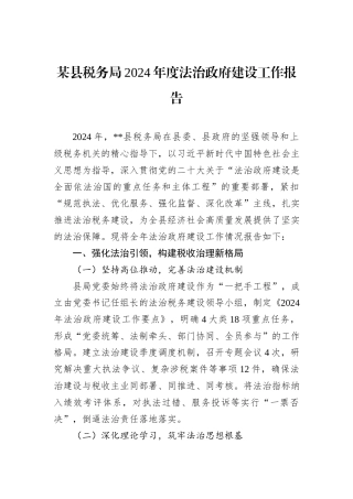 某县税务局2024年度法治政府建设工作报告