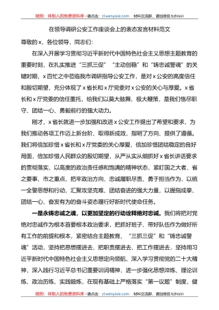 在领导调研公安工作座谈会上的表态发言材料