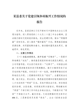 某县委关于党建引领乡村振兴工作情况的报告