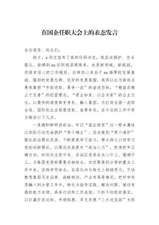在国企任职大会上的表态发言