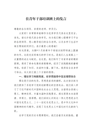 在青年干部培训班上的发言