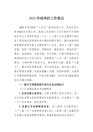 2025年度风控工作要点