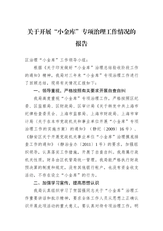 关于开展“小金库”专项治理工作情况的报告