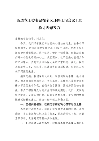 街道党工委书记在全区环保工作会议上的检讨表态发言