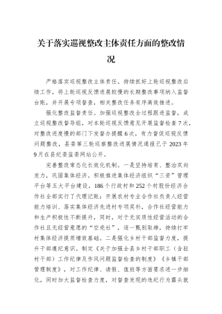 关于落实巡视整改主体责任方面的整改情况