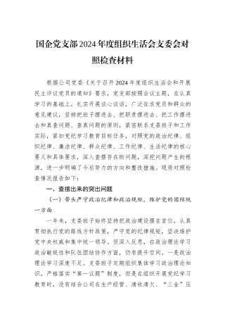 国企党支部2024年度组织生活会支委会对照检查材料.docx