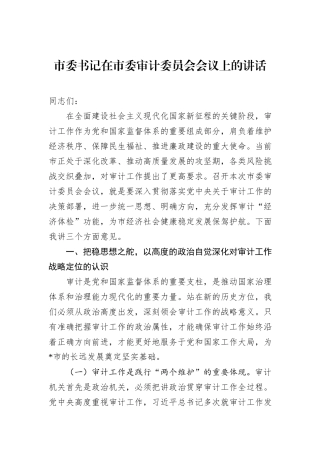 市委书记在市委审计委员会会议上的讲话.docx