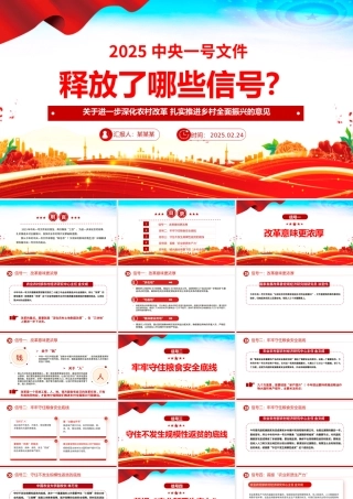 2025中央一号文件释放了哪些新信号PPT党课课件.pptx